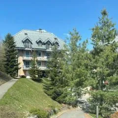 Charmant appartement T3 avec magnifique vue