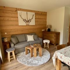 Appartement rénové T2, vue montagne