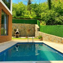 villa with hot pool-little moon