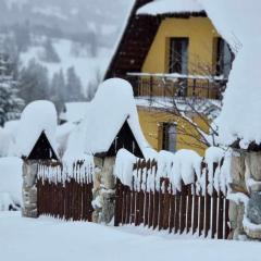 ZAKOHOME Dom Banysiówka