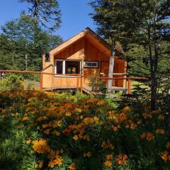 Sollipulli Cabaña Chucao, Lodge Nevados de Sollipulli