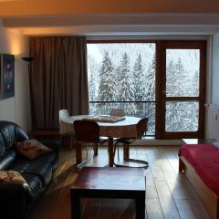 Appartement Flaine, 3 pièces, 8 personnes - FR-1-687-87