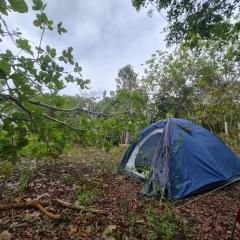 Camping Que Brota do Chão