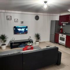 Appartement en duplex A113