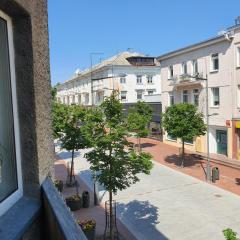 Downtown Boulevard View Residence