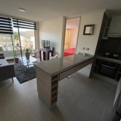 Hermoso Departamento con excelente vista, a pasos de la Quinta Vergara, cercano a Reloj de Flores y Playa Caleta Abarca