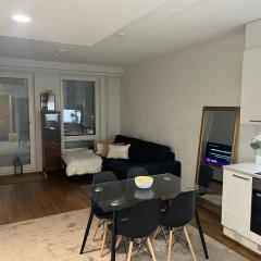 Stylish apartment with sauna nearby Airport