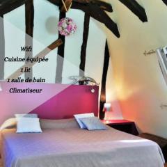 Cité médiévale, charme & calme, bien placé