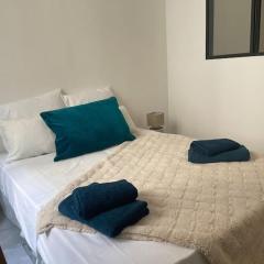 Charmant P3 en centre ville