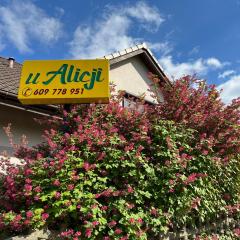 Noclegi u Alicji