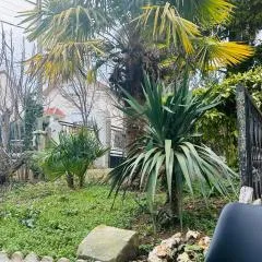 Appartement avec jardinet, fête interdite !
