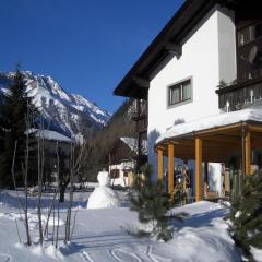 Apartments Hohenberger Mallnitz - Tauernbad und Sauna im Winter inklusive!