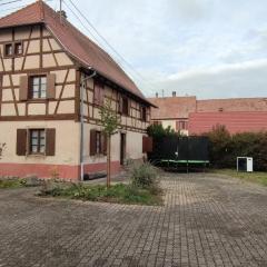 Grande Maison Familiale dans village alsacien, cour, jardin, proche route du vin, Europapark, Haut Koenigsbourg, Sélestat