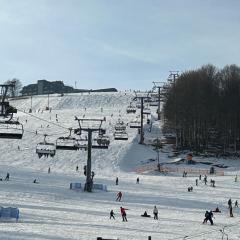 Olza Karczma i pokoje