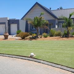 Albatross @ Kingswood