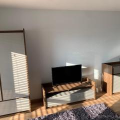 Apartament Leska