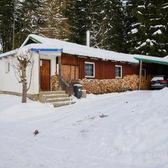 Holiday Home Chaloupka U lesa by Interhome