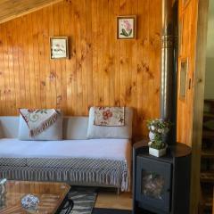 Arriendocasaveraneofebrero24