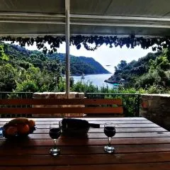 House ,, Plavi biser ''