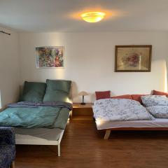 Easy travel: central apartment in Krefeld