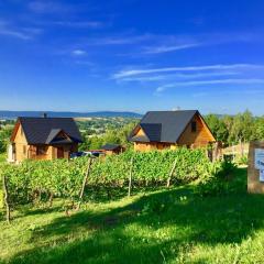 Winnica Nad Źródłem - Domki w winnicy