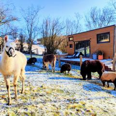 La mini maison du Lama