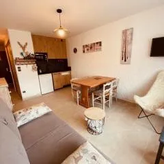 Studio moderne avec balcon et garage, proche piste verte et centre, La Clusaz - FR-1-459-118