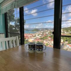 The Green Iguana Hotel
