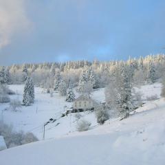 Gîte familial à Cornimont avec Wifi et parking - FR-1-589-84