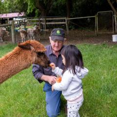 Bellevue Farmstay