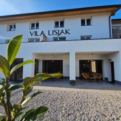 VILA LISJAK - Apartments