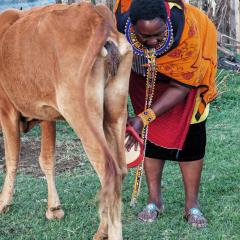 Nashipa homestay Maasai Mara