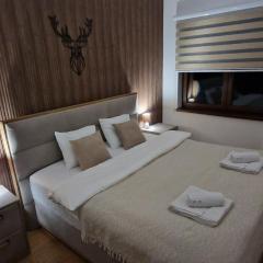 Glečer Kop A11 FREE Parking Garage