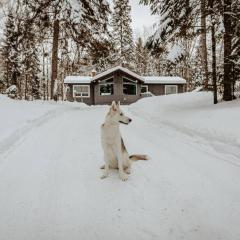 Dog friendly Muskoka. Fun from forest to river.