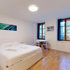 Modern studio in the heart of Geneva