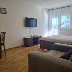 Apartman Spasić