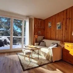 Appartement cosy 1 chambre, rénové avec terrasse exposée Sud
