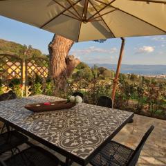 Le Domaine Saint François la Tour 2