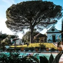 Soul Casas