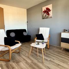 Appartement Argelès-sur-Mer, 1 pièce, 4 personnes - FR-1-225-719