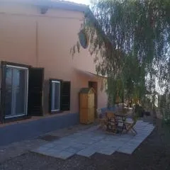 Vegan garden Apartment
