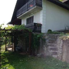 Holiday home in Semic - Kranjska (Krain) 26078