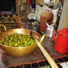 Sítio Vó Leonidia - Turismo Rural