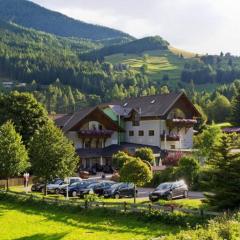 Apartment in the ski and hiking area in Mallnitz