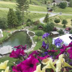 Apartment in Mallnitz with swimming pond