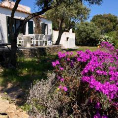 Maison de pêcheur superbe vue mer, grand jardin