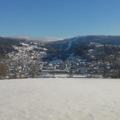 Les Dryades L'Epicéa