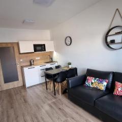 Rezidence pod zámkem Mikulov - apartmán 205 B