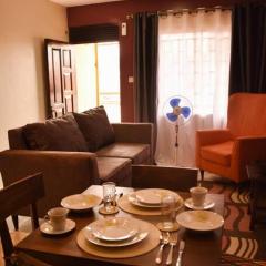 Beautiful One bedroom apt with pool & rooftop near Acacia mall and Ntinda