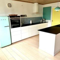 Big-family house in Hoyvik Torshavn